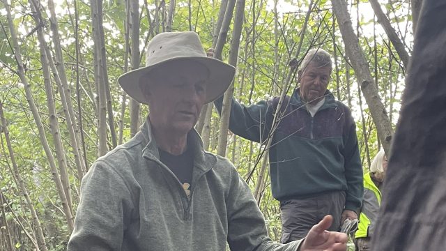 Andy in action cropped